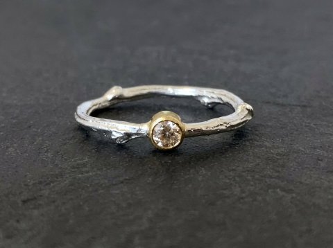 Twig ring med champagne diamant